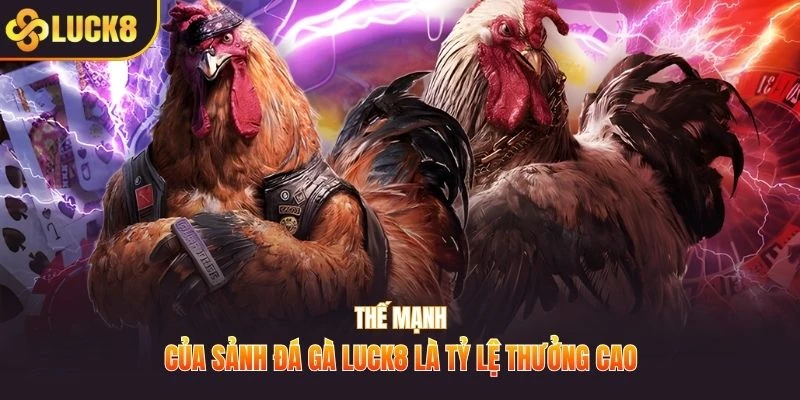 Thế mạnh của sảnh đá gà LUCK8 là tỷ lệ thưởng cao
